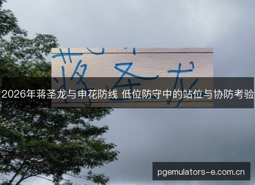 2026年蒋圣龙与申花防线 低位防守中的站位与协防考验